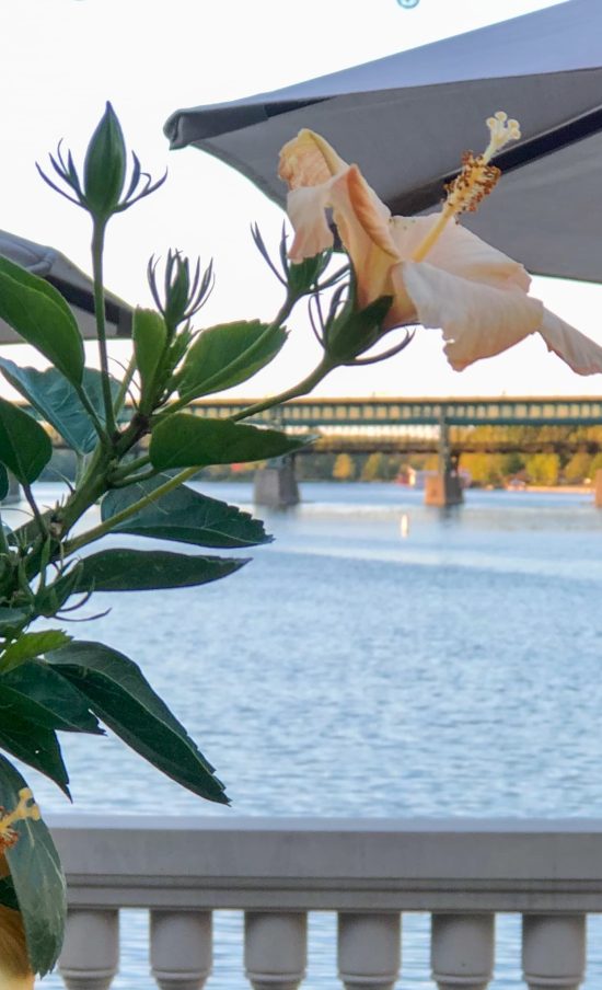 Riverside patio in the garden at the top accommodations in St. Charles, IL